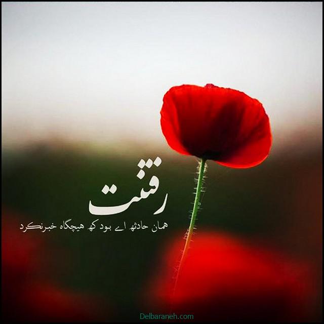 عکس پروفایل دلتنگی (۳)