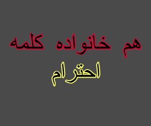 هم خانواده کلمه احترام