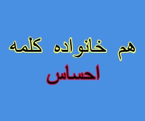 هم خانواده کلمه احساس