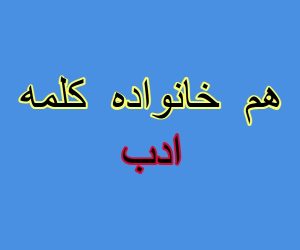 هم خانواده کلمه ادب