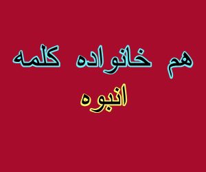 هم خانواده کلمه انبوه