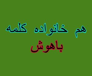 هم خانواده کلمه باهوش