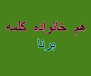 هم خانواده کلمه برنا