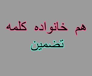 هم خانواده کلمه تضمین