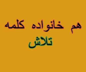 هم خانواده کلمه تلاش