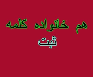 هم خانواده کلمه ثبت