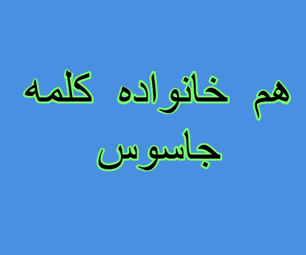 هم خانواده کلمه جاسوس