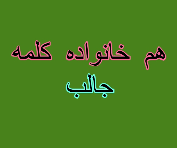 هم خانواده کلمه جالب