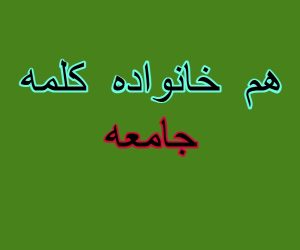 هم خانواده کلمه جامعه