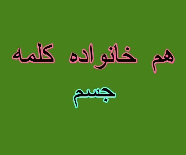 هم خانواده کلمه جسم