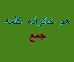 هم خانواده کلمه جمع