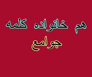 هم خانواده کلمه جوامع