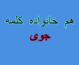 هم خانواده کلمه جوی
