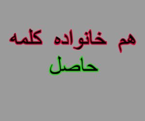 هم خانواده کلمه حاصل