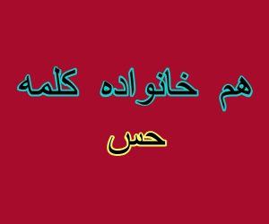هم خانواده کلمه حس