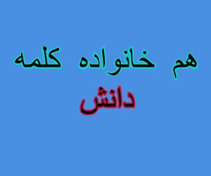 هم خانواده کلمه دانش