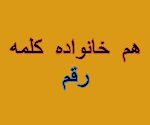 هم خانواده کلمه رقم