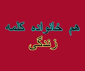 هم خانواده کلمه زندگی