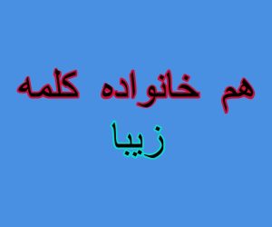 هم خانواده کلمه زیبا