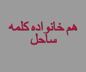 هم خانواده کلمه ساحل