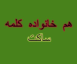 هم خانواده کلمه ساکت
