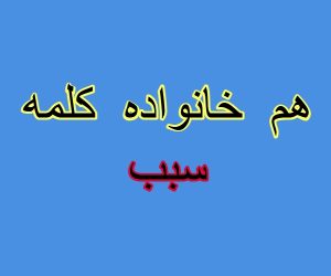 هم خانواده کلمه سبب