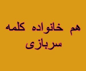 هم خانواده کلمه سربازی
