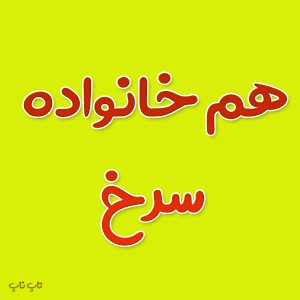 هم خانواده کلمه سرخ