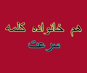 هم خانواده کلمه سرعت