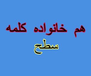 هم خانواده کلمه سطح