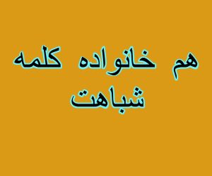 هم خانواده کلمه شباهت