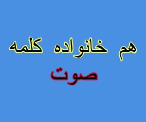 هم خانواده کلمه صوت