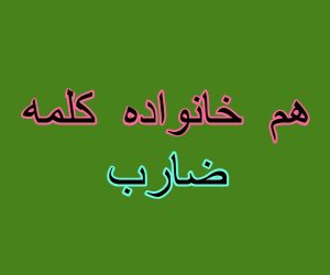 هم خانواده کلمه ضارب