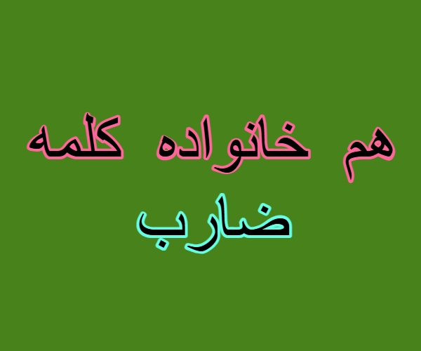 هم خانواده کلمه ضارب
