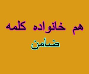 هم خانواده کلمه ضامن
