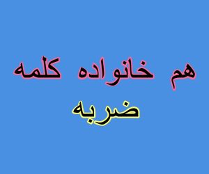 هم خانواده کلمه ضربه