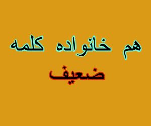 هم خانواده کلمه ضعیف