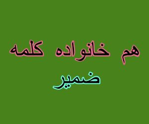 هم خانواده کلمه ضمیر
