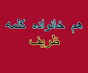 هم خانواده کلمه ظریف