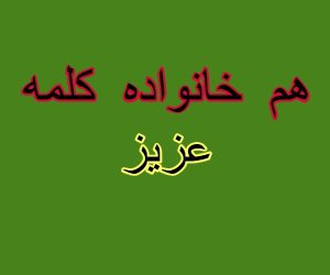 هم خانواده کلمه عزیز
