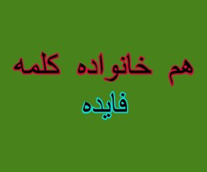 هم خانواده کلمه فایده