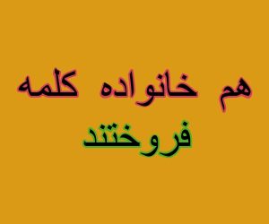 هم خانواده کلمه فروختند