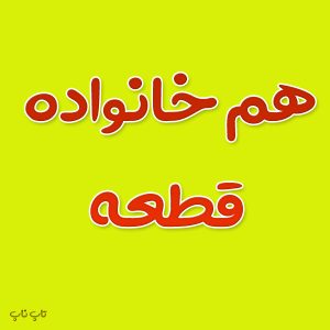 هم خانواده کلمه قطعه