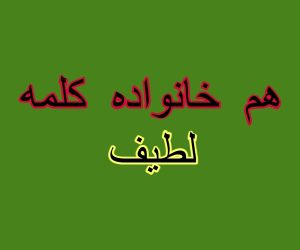 هم خانواده کلمه لطیف
