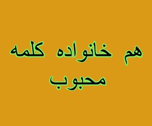 هم خانواده کلمه محبوب