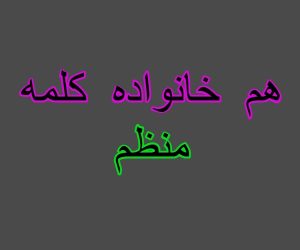 هم خانواده کلمه منظم