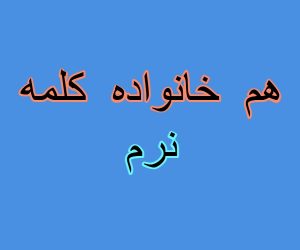 هم خانواده کلمه نرم