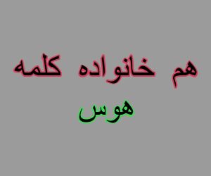 هم خانواده کلمه هوس