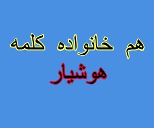 هم خانواده کلمه هوشیار