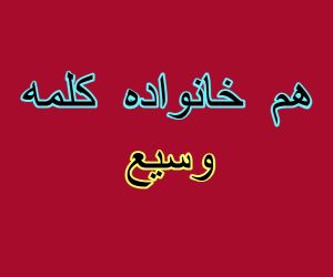 هم خانواده کلمه وسیع